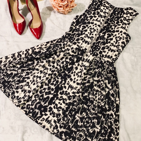 Mossimo - Picture 3 of 3